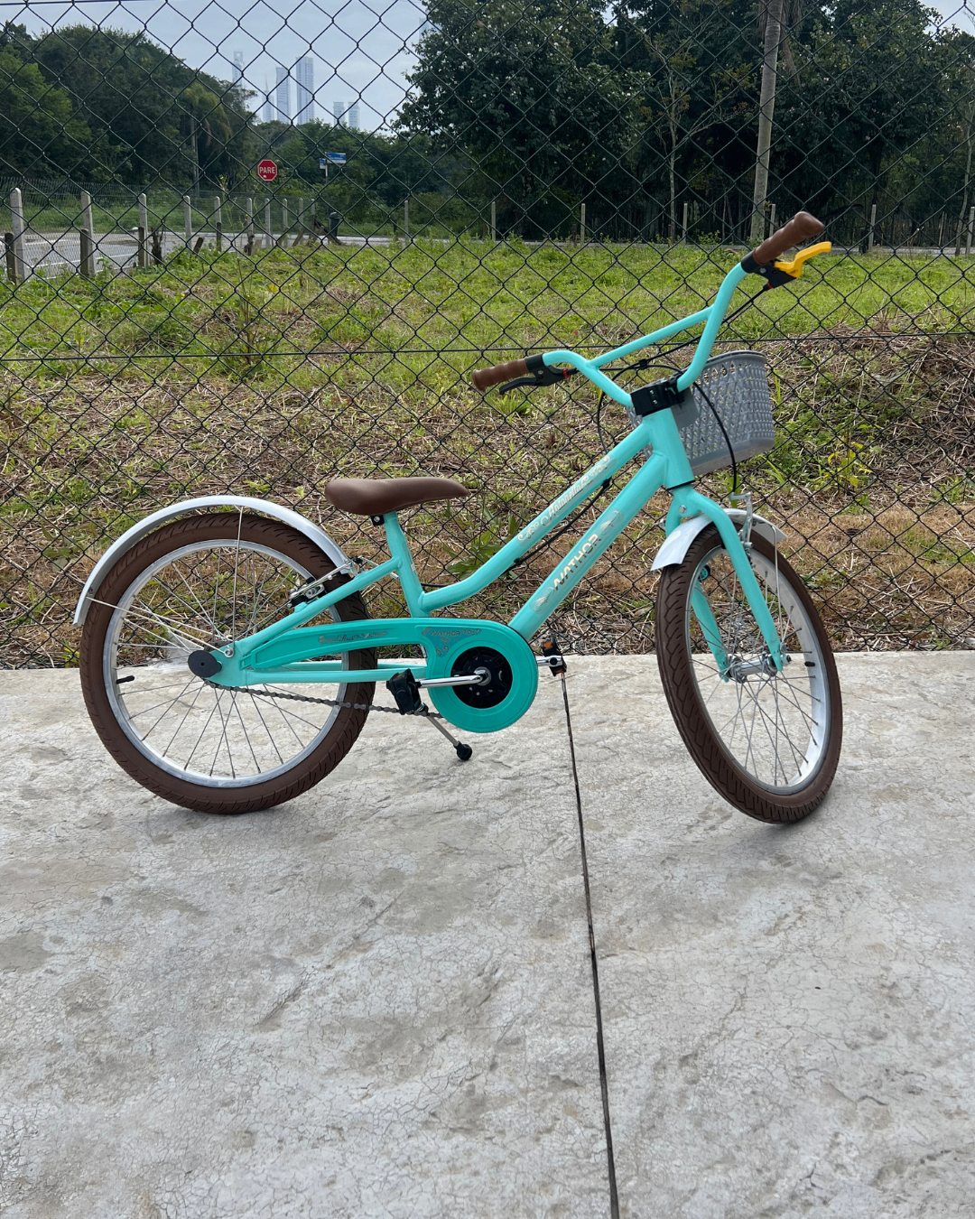 Bicicleta Aro 20 Antonella Teen Verde (Retrô)